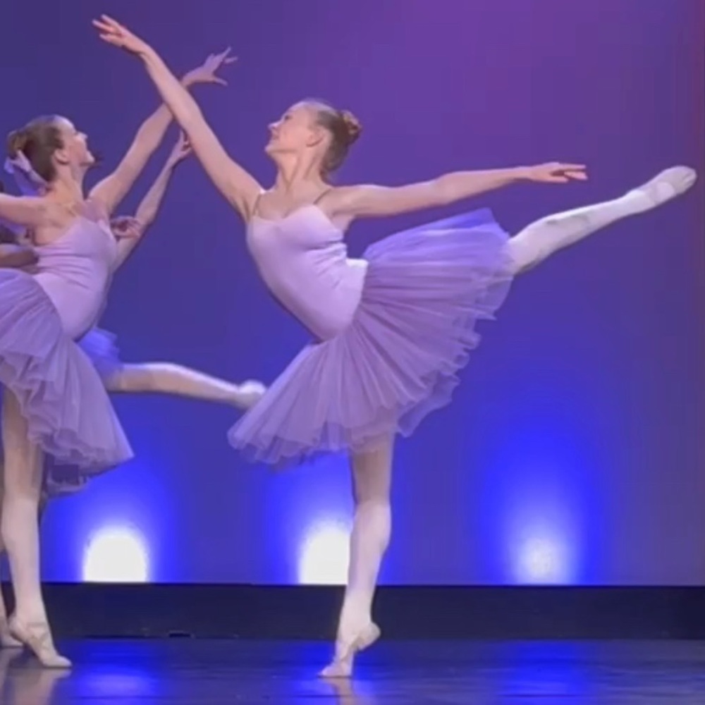 Purple Tutu Gallery Dance Costume Traditional Ballet